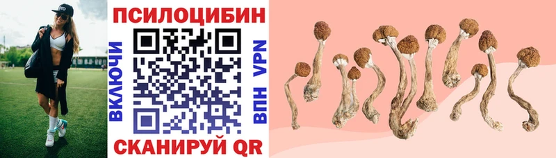 Галлюциногенные грибы ЛСД  Купить  Юрга 